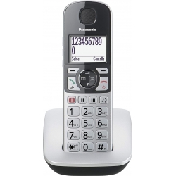 Telefono cordless rete fissa LCD Tasti Parlanti Panasonic KX-TGE510JTS Silver