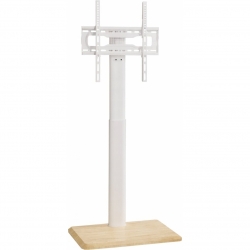 Supporto da Pavimento TV 24-55 Pollici con Ruote a Scomparsa VESA 400x400
